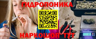 стафф Кимры
