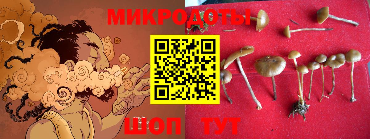 Галлюциногенные грибы Cubensis Валуйки