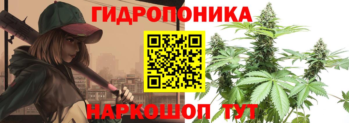 Бошки марихуана марихуана Валуйки